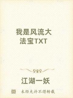 我是風流大法寶TXT
