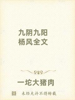 九陰九陽楊風全文
