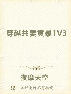 穿越共妻黃暴1V3
