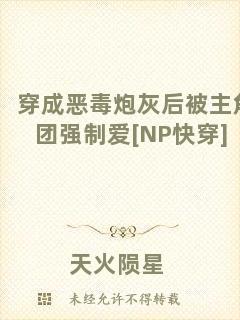穿成惡毒炮灰后被主角團(tuán)強(qiáng)制愛[NP快穿]