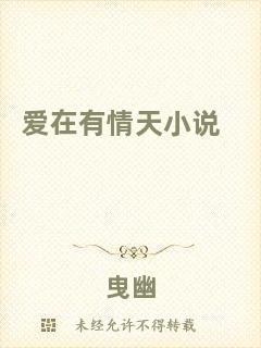愛(ài)在有情天小說(shuō)