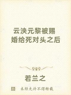 云泱元黎被賜婚給死對(duì)頭之后