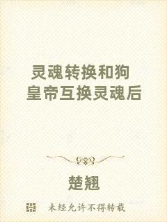 靈魂轉(zhuǎn)換和狗皇帝互換靈魂后