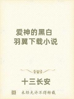 愛(ài)神的黑白羽翼下載小說(shuō)