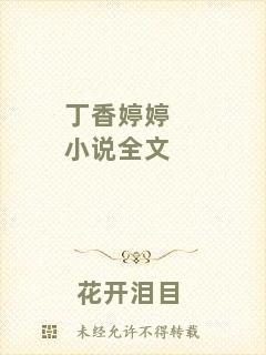 丁香婷婷小說全文