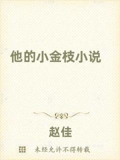 他的小金枝小說(shuō)