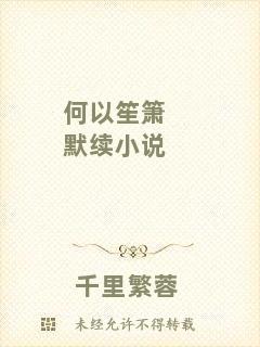 何以笙簫默續(xù)小說