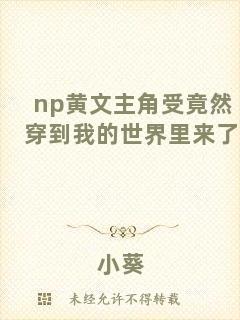 np黃文主角受竟然穿到我的世界里來(lái)了