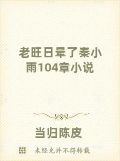 老旺日暈了秦小雨104章小說