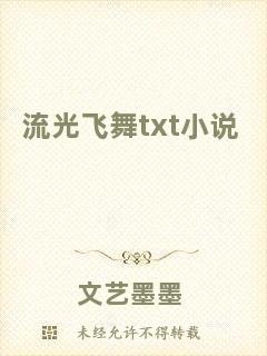 流光飛舞txt小說