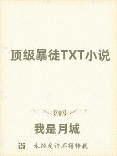 頂級(jí)暴徒TXT小說