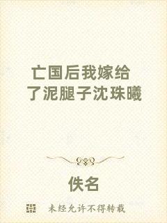 亡國后我嫁給了泥腿子沈珠曦