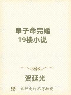 奉子命完婚19樓小說(shuō)