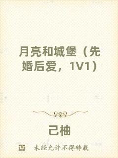 月亮和城堡（先婚后愛，1V1）