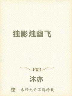 獨(dú)影燭幽飛