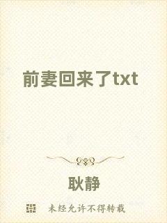 前妻回來(lái)了txt