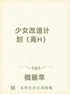 少女改造計(jì)劃（高H）